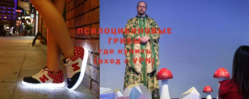 площадка телеграм  хочу   Ковылкино  Галлюциногенные грибы Cubensis 